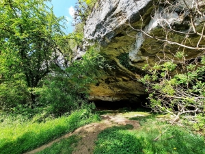 Grotte-de-Lacaunhe